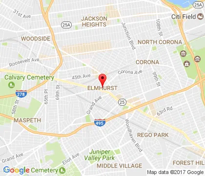 logo-image - elmhurst-ny